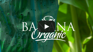 Coliman organics are available through Coliman Allfresch.