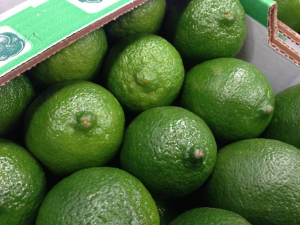 Exotifruit specialises in Mexican lime imports into Europe.