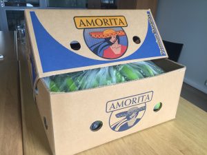Premium Amorita bananas imported from Ecuador and Mexico.