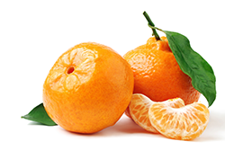 Soft Citrus