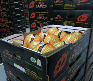 Red Dragon Chinese Pomelo are imported through Exotifruit - an Allfrech Group company.