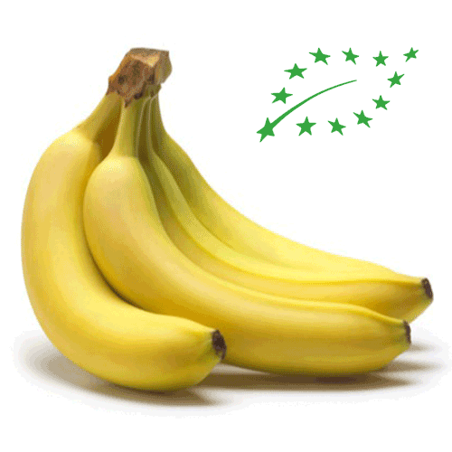 Organic Bananas