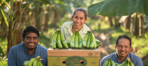 Happy smiling packing staff pose next to Colimans organic banana boxes and produce.