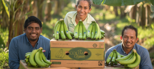 Happy smiling packing staff pose next to Colimans organic banana boxes and produce.