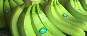 Within the Allfresch Group we also have a number of established and recognised brands each with their own offering- from organic bananas to premium quality chestnuts.