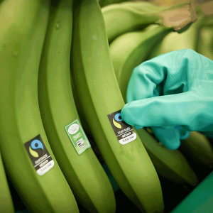 Allfresch & Partners Proudly Supports Fairtrade Fortnight.