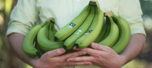 Allfresch & Partners Proudly Supports Fairtrade Fortnight.