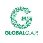 Mibio bananas are GlobalGAP certified.