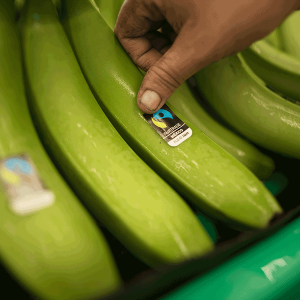 Colimans commitment to Fairtrade.
