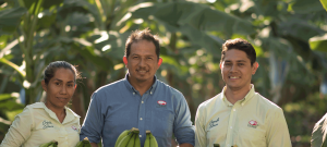 Mexican Banana Producer Coliman Joins Allfresch.