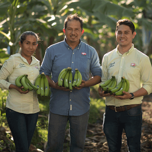 Mexican Banana Producer Coliman Joins Allfresch.
