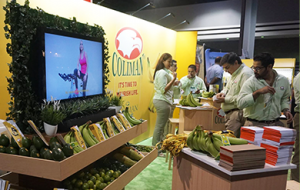 Coliman Allfresch to Attend Asia Fruit Logistica 2018. Contact us to make an appointment.