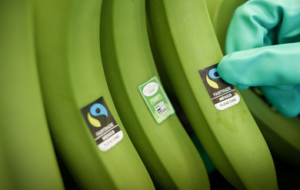 Why Organic & Fairtrade Should Be Equally Supported