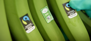 Why Organic & Fairtrade Should Be Equally Supported