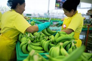 Switch to Fairtrade Produce