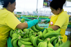Switch to Fairtrade Produce