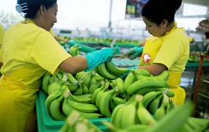 Switch to Fairtrade Produce