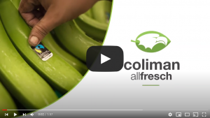 Coliman Allfresch Integration Supply Chain