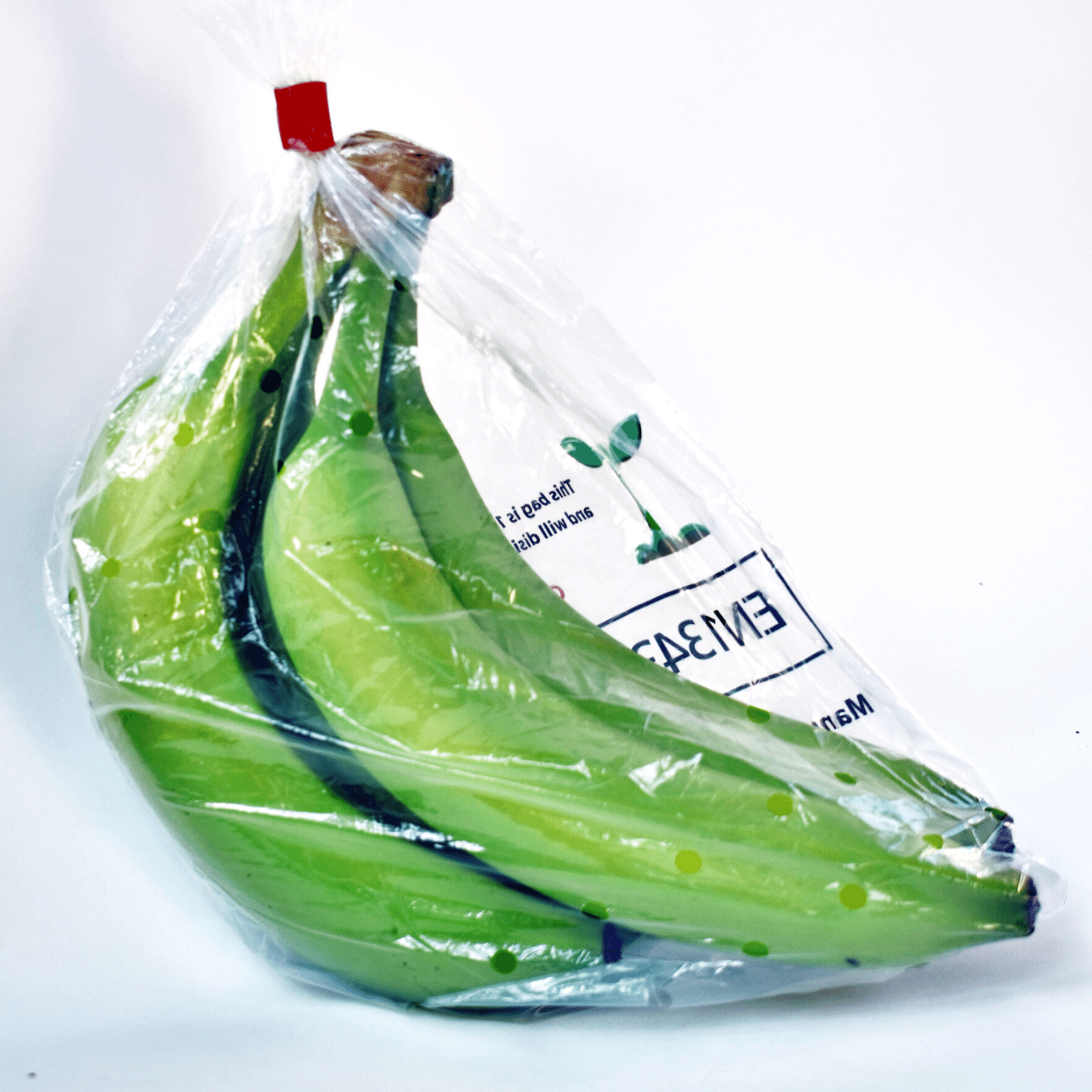 Biodegradable and Compostable Packaging