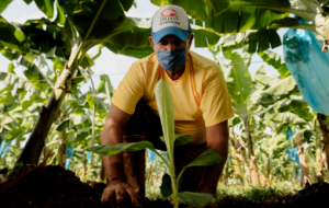 Nourishing the world - how do we achieve our mission