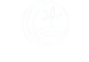 Allfresch